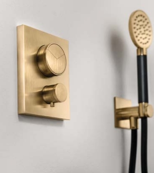 Ручной душ ALMAR Posh and Shower E082108.HB 90 мм, цвет Латунь брашированная